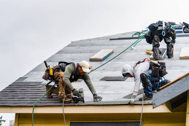 Professional Gutter Installation technician working in Semmes, AL